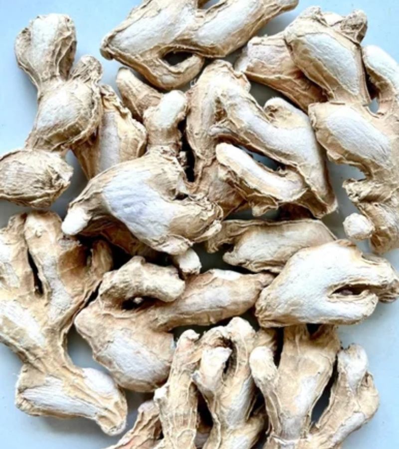 sutariya agriimpex