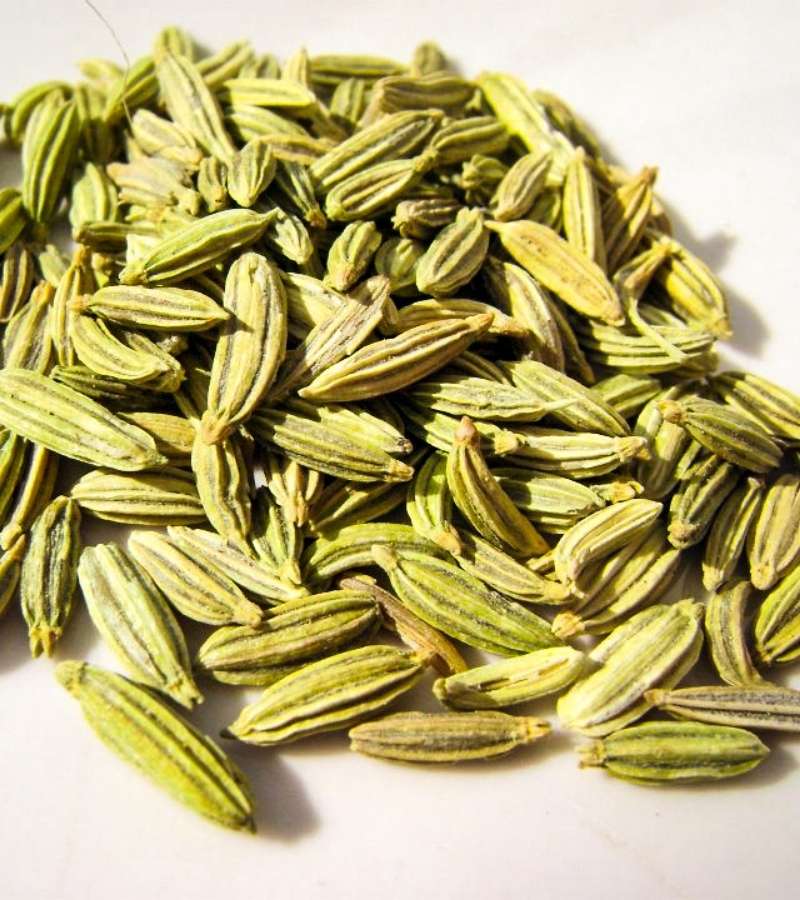 sutariya agriimpex