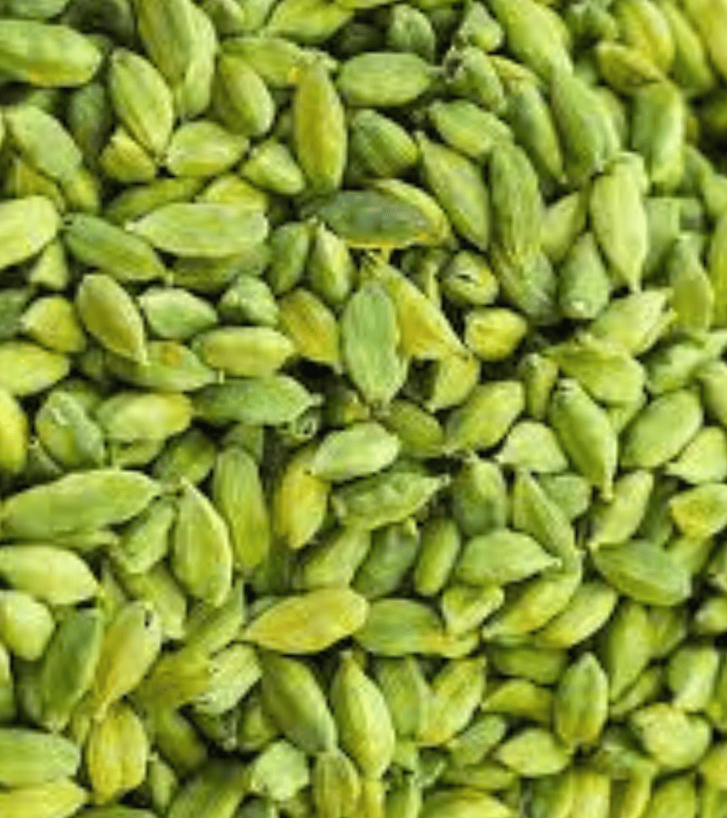 sutariya agriimpex
