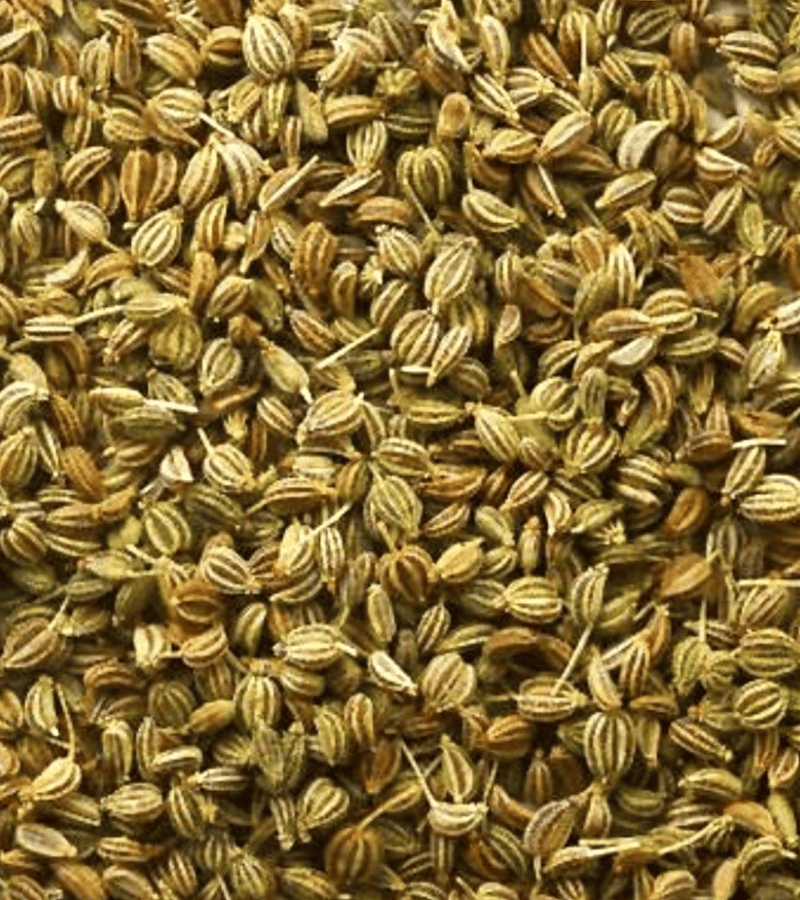 sutariya agriimpex