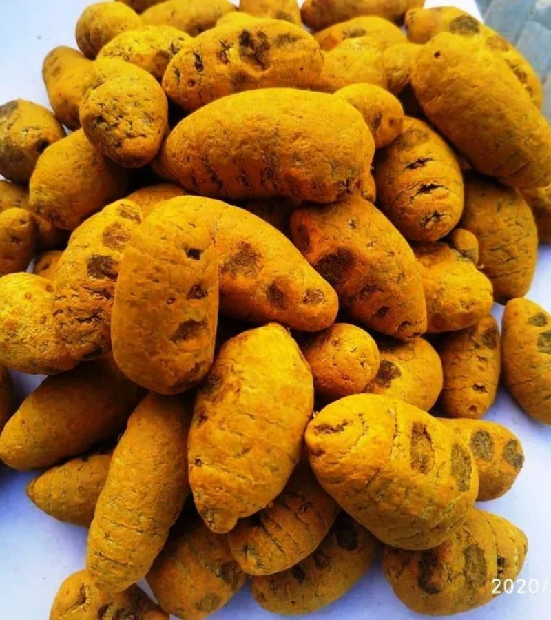 sutariya agriimpex