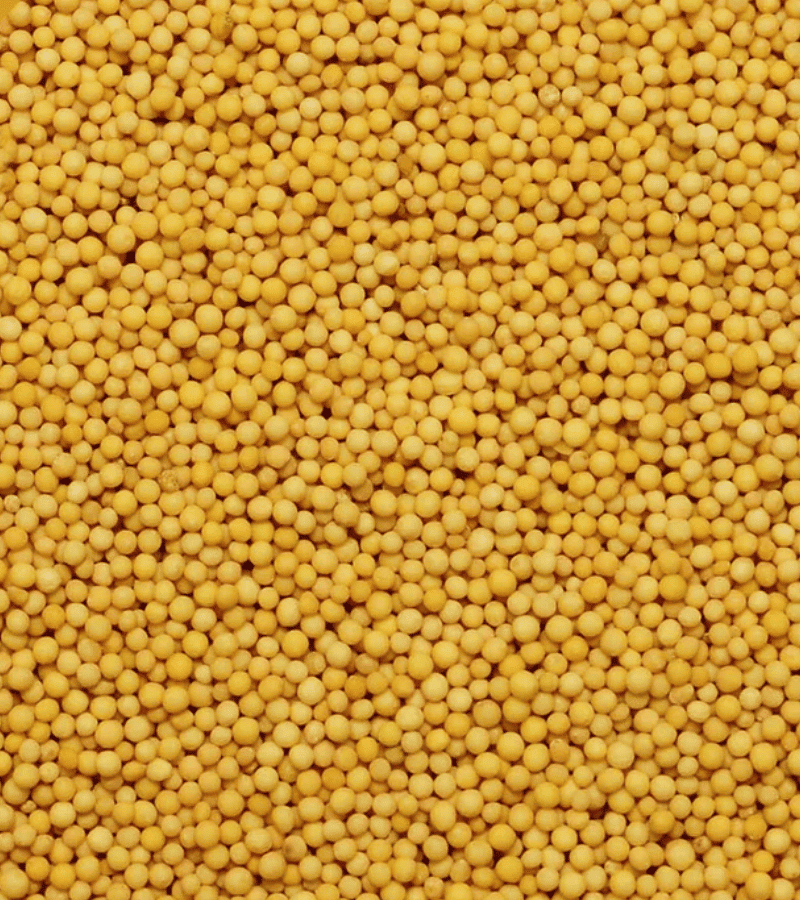 sutariya agriimpex